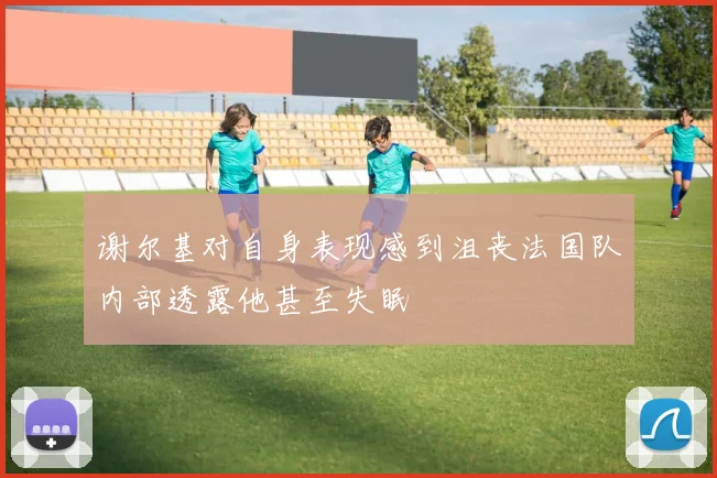 谢尔基对自身表现感到沮丧法国队内部透露他甚至失眠